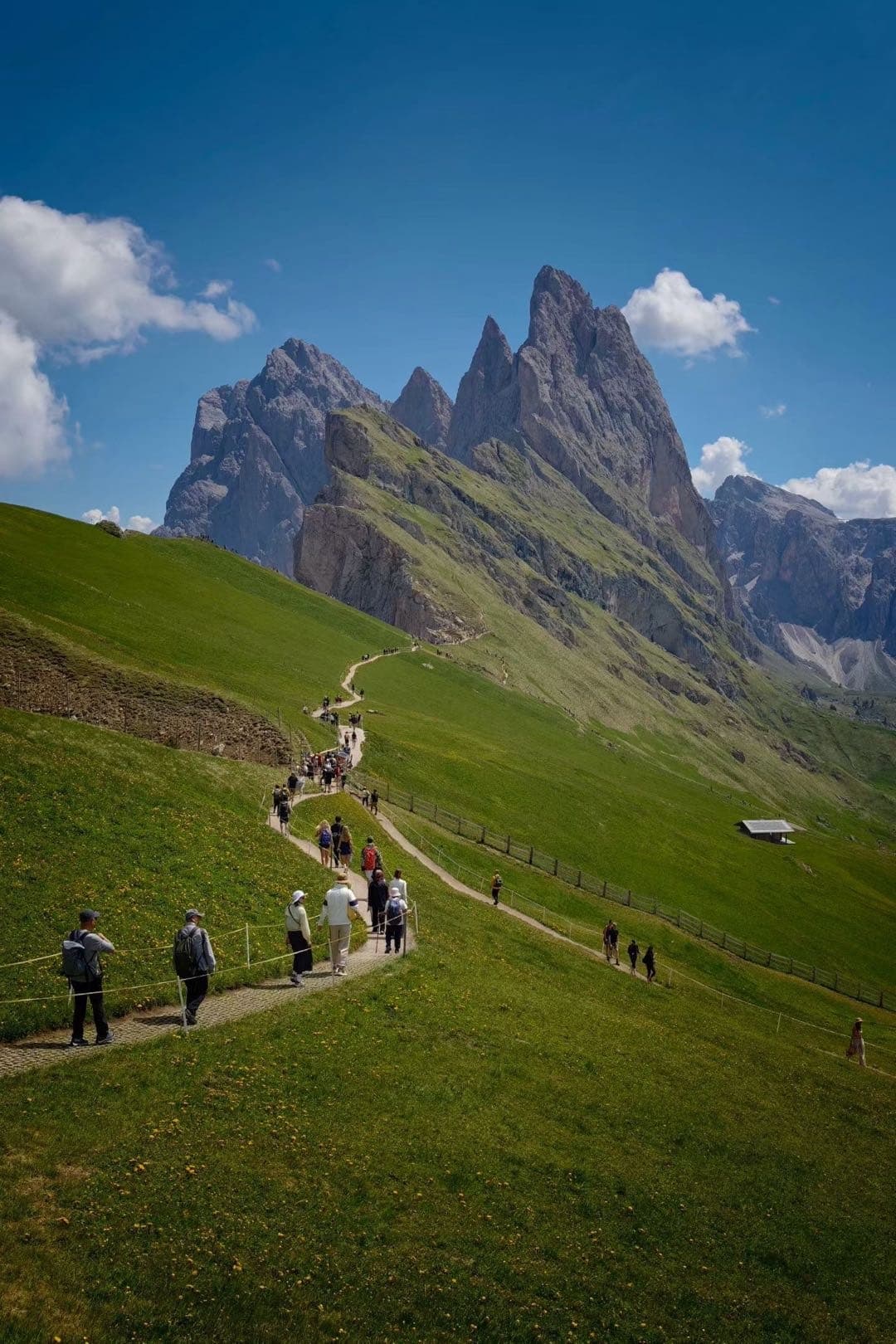 刀锋山 Seceda 草坡前的锯齿状岩峰