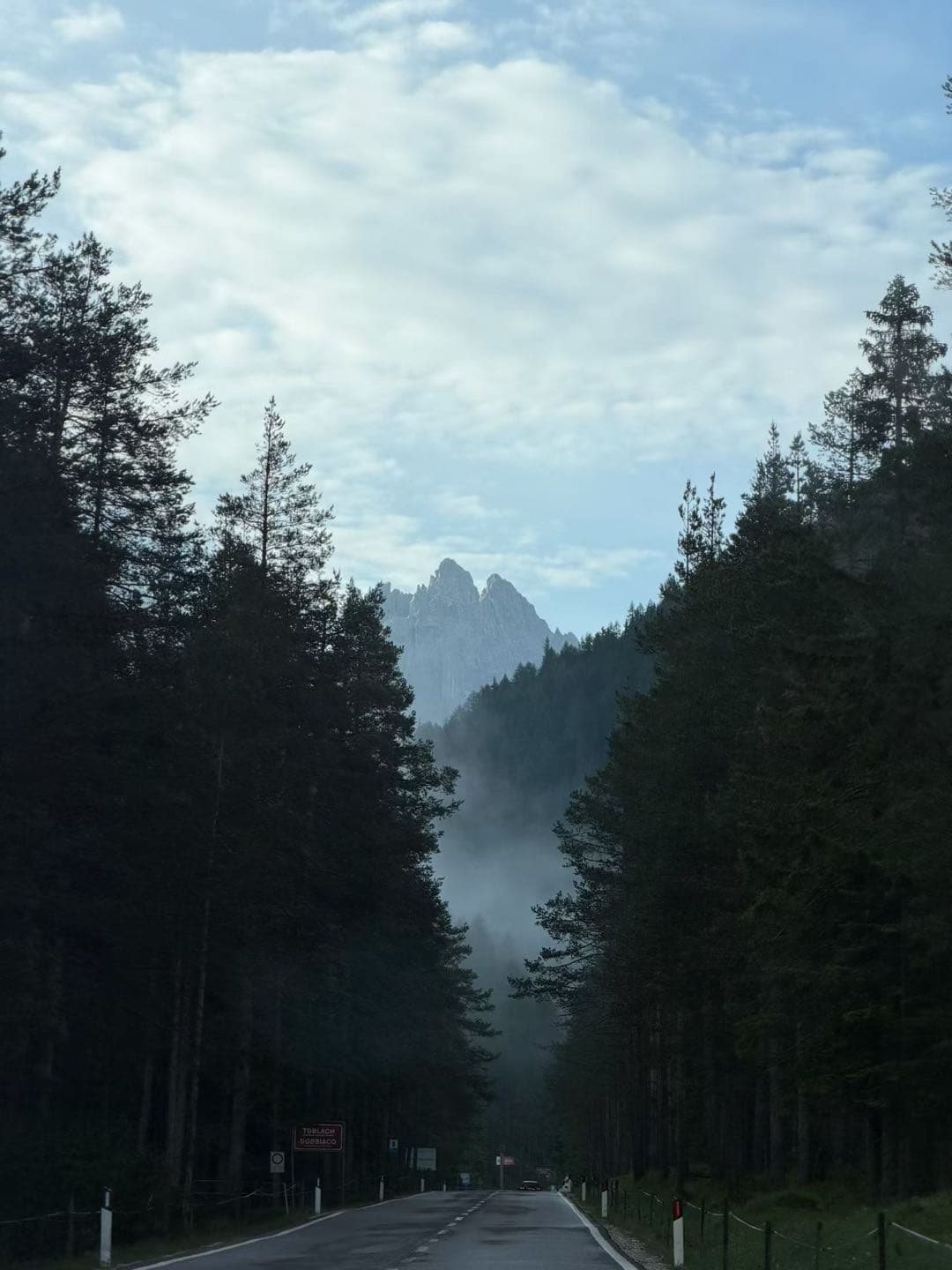 林间公路尽头的远山轮廓