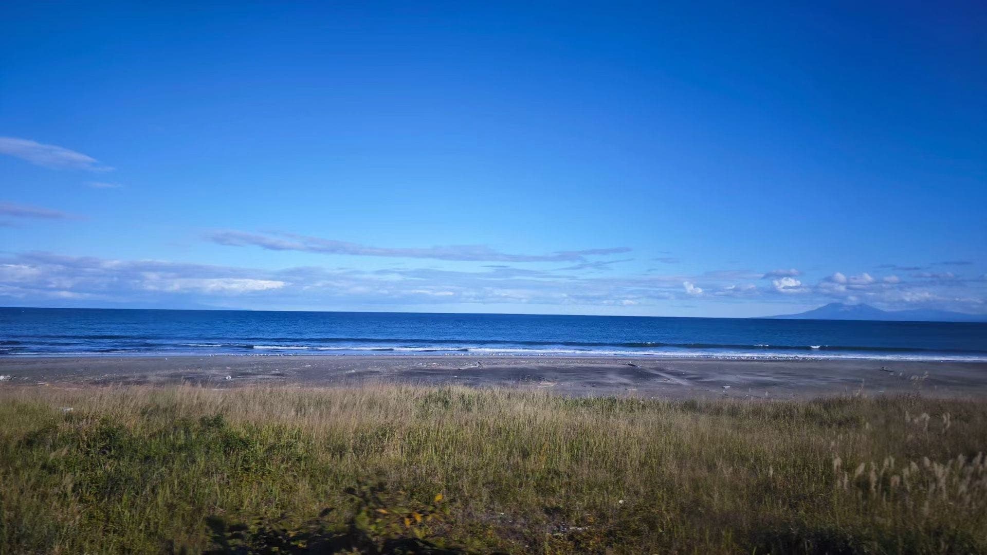 函馆海岸草地外是一片蓝色海面