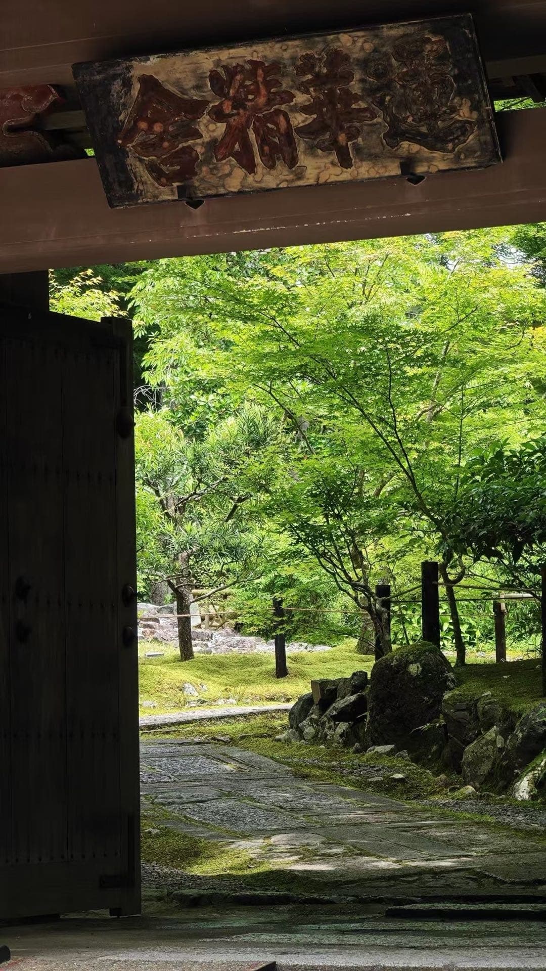 京都寺院山门外的绿色小径
