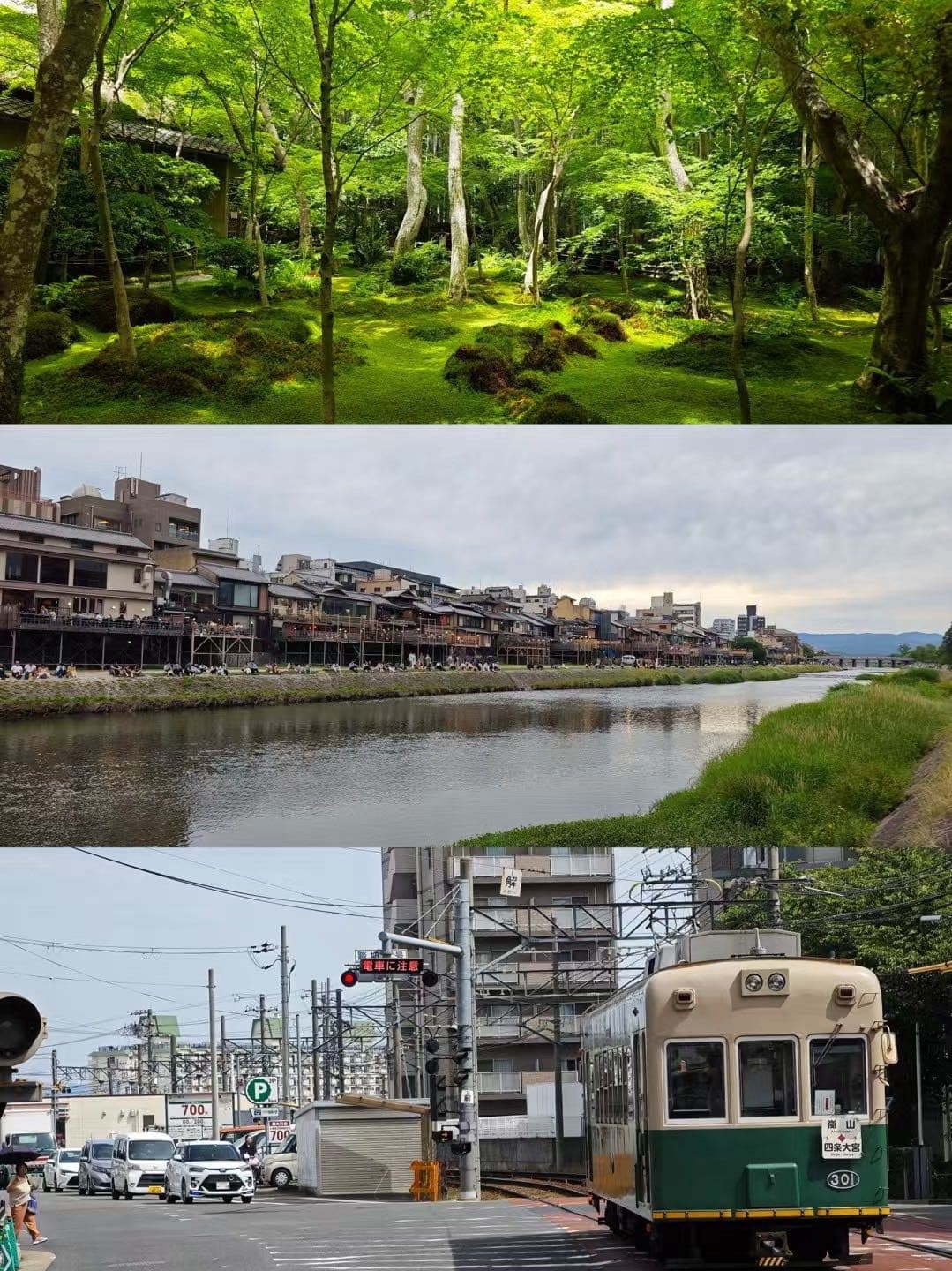 京都苔庭、鸭川沿岸和绿色电车的三张拼接