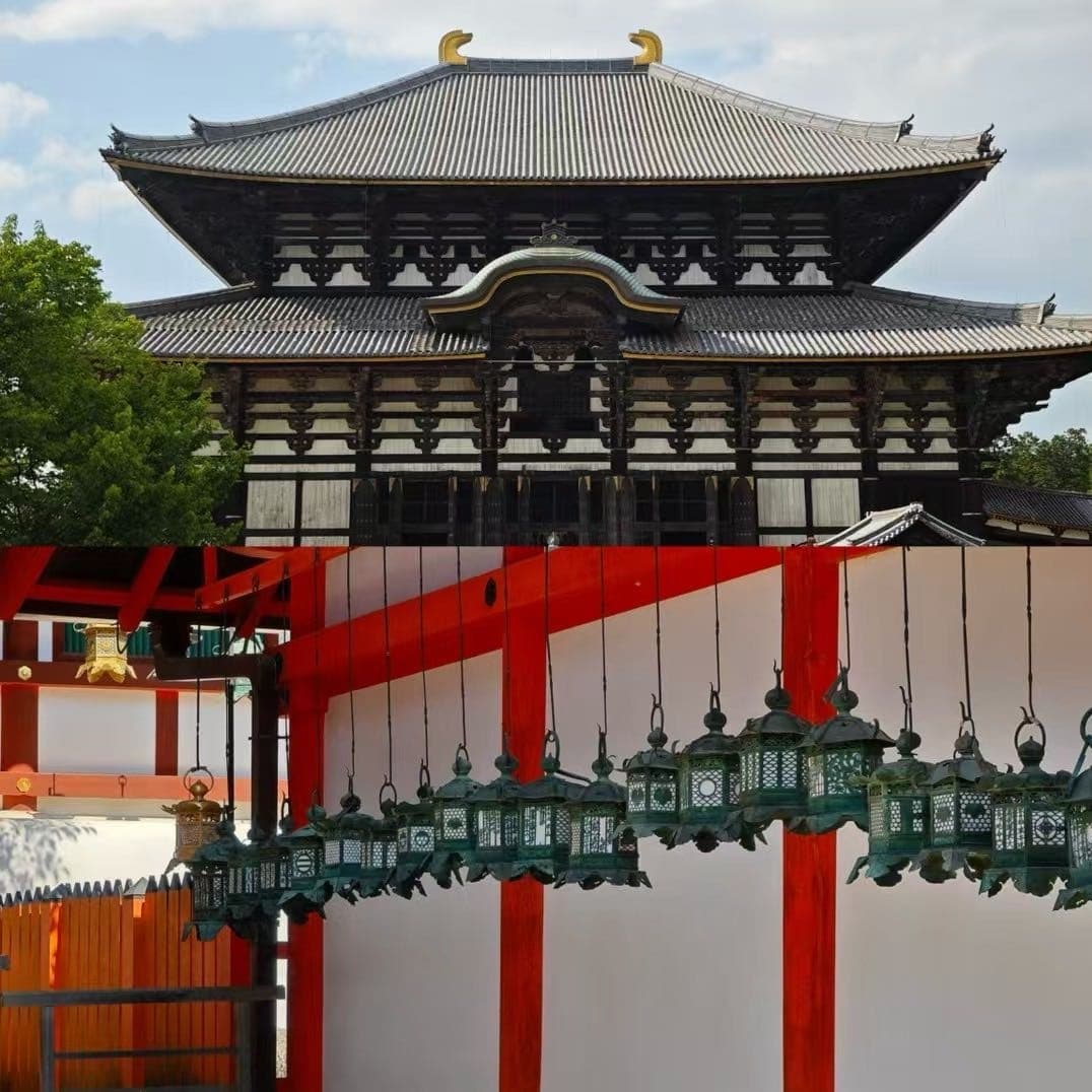 东大寺大佛殿正面与前方灯笼、红白围挡