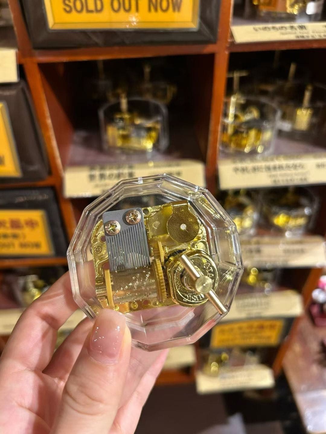 手拿一件透明玻璃小摆件，背景是小樽店铺货架