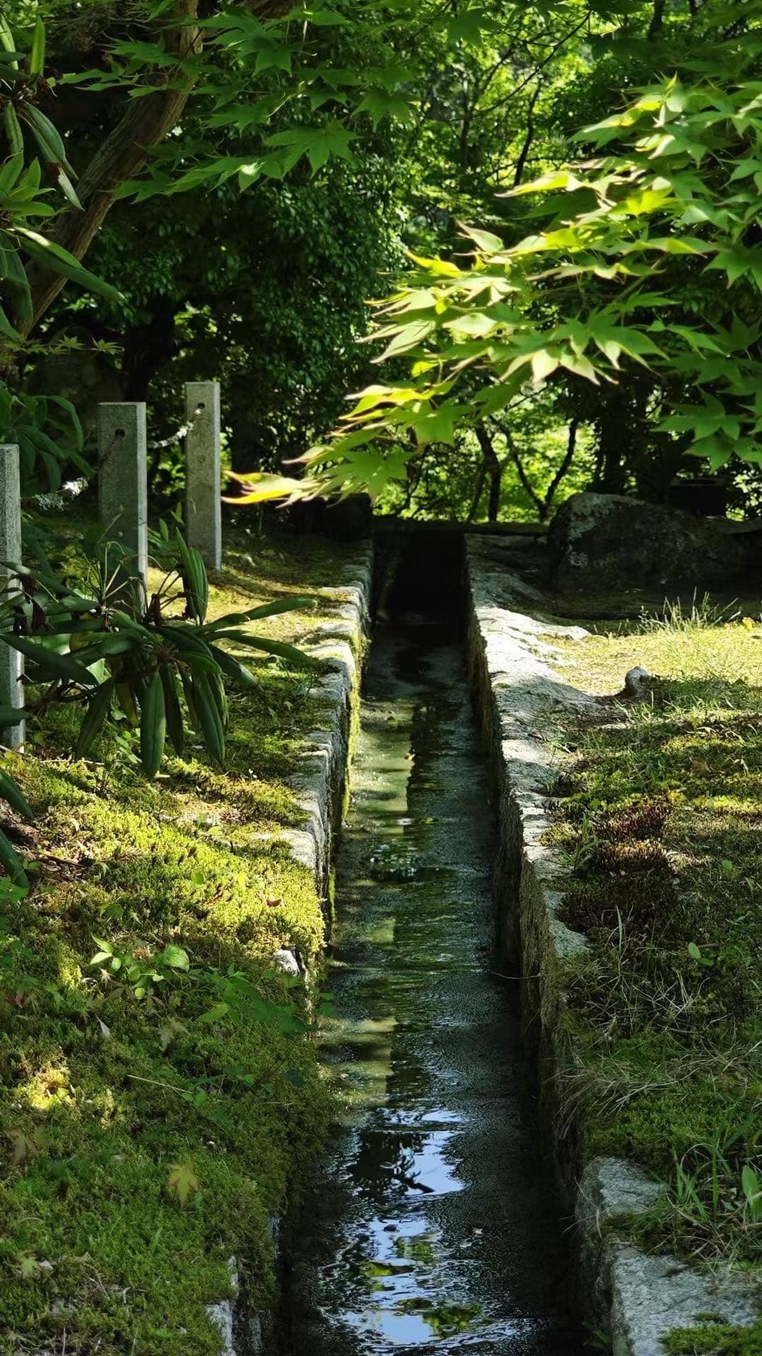 宇治树荫下的狭窄水渠和石路